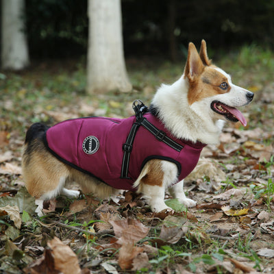 Ropa Térmica Multicolor para Mascotas - Abrigo Personalizado - Image 3