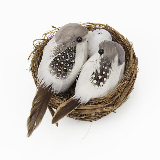 Conjunto de Nido de Pájaros con Huevos para Decoración de Jardín - Image 6