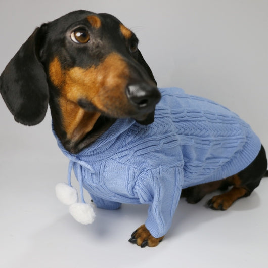 Sudadera Deportiva con Capucha para Otoño e Invierno - Image 10