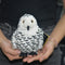 Peluches Suaves Para Todos