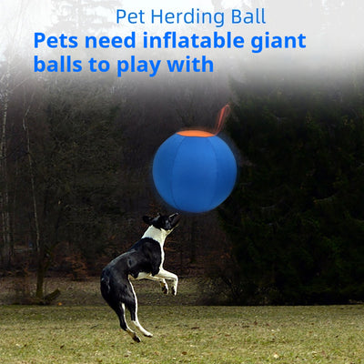 Blue and orange pet training ball with a fabric handle, designed for dogs like Shiba Inu and Corgi. - Image 6