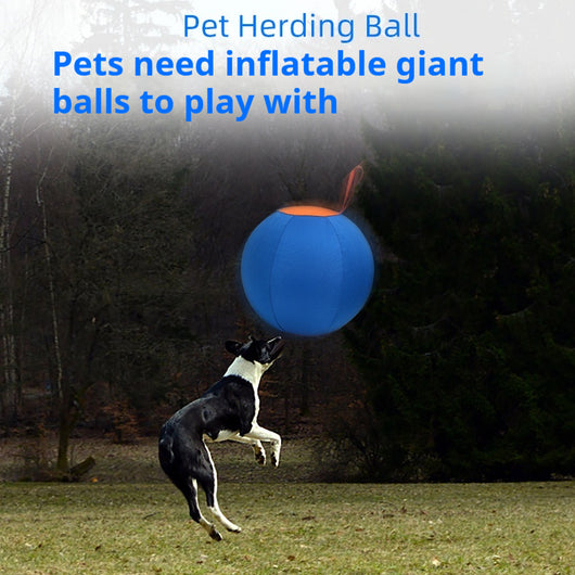 Blue and orange pet training ball with a fabric handle, designed for dogs like Shiba Inu and Corgi. - Image 6