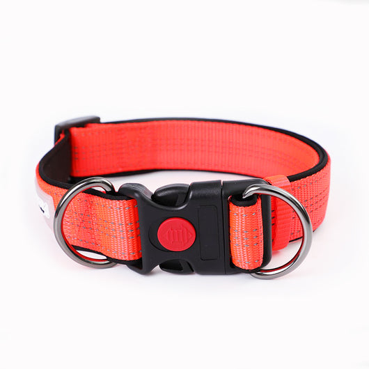 Correa para Perro Pequeño, Mediano y Grande con Collar Integrado - Image 4