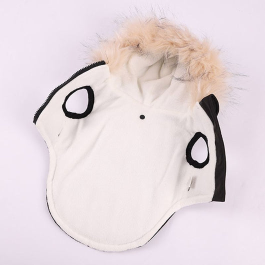 Abrigo de Algodón para Perros Bichon - Ropa de Otoño e Invierno con Correa - Image 19