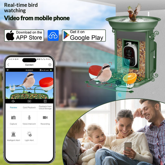 Comedero Inteligente para Aves con Energía Solar e IA - Image 15