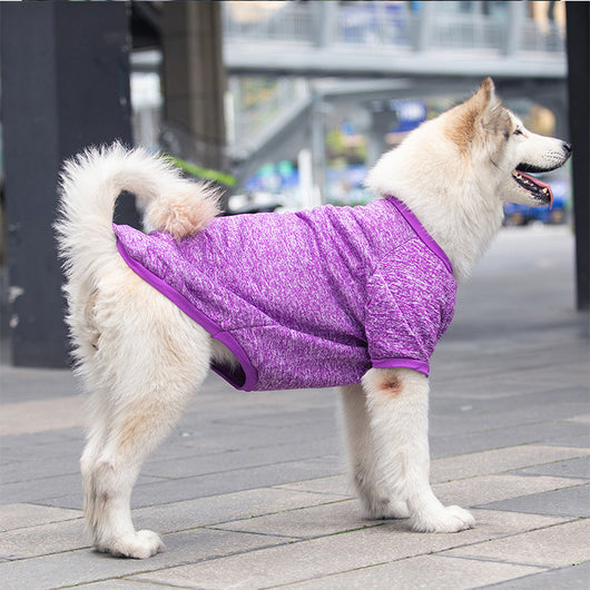 Suéter Abrigador de Lana para Perros - Comodidad y Calidez - Image 9