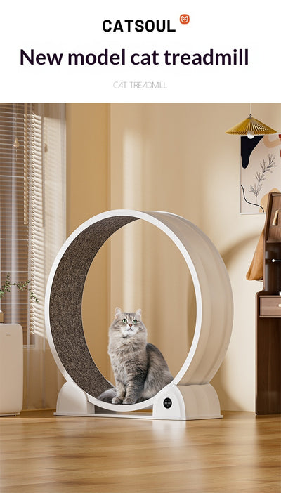 Caminadora Inteligente para Gatos con Pantalla Interactiva - Image 19