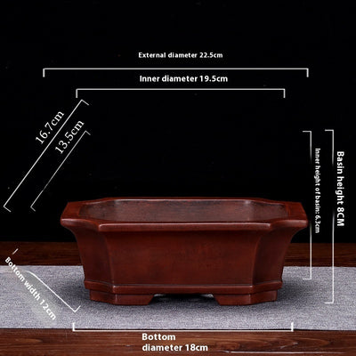 Maceta Decorativa de Arcilla Púrpura Personalizable para Escritorio - Image 10