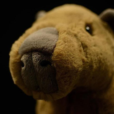 Peluche Capibara Realista - Juguete de Simulación Suave - Image 5