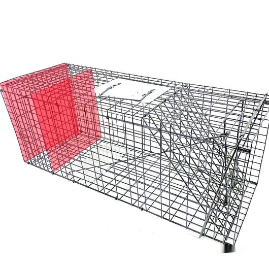 Jaula Trampa Automática Plegable para Gatos - Galvanizada y Segura - Image 9