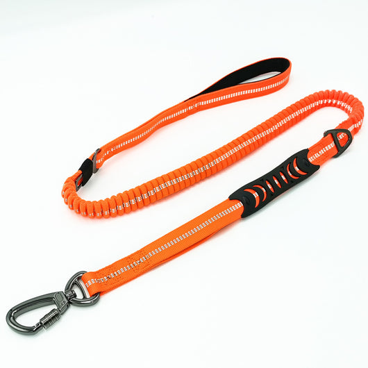 Correa Retráctil para Perro con Diseño Personalizado - Image 6