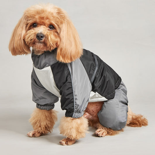 Abrigo Acolchado para Perros Medianos y Grandes - Diseño a Juego de Colores para Invierno - Image 3