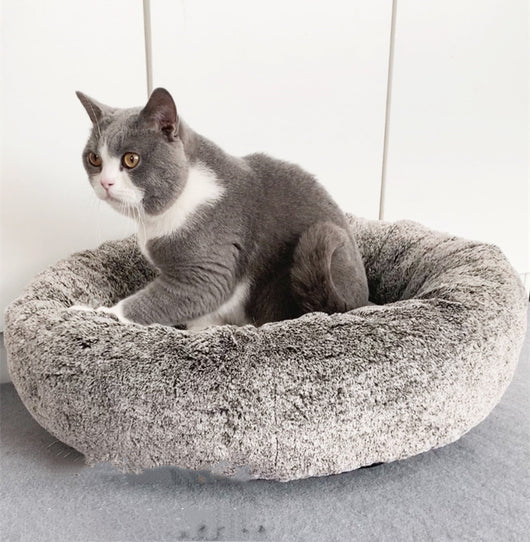 Arena para Gatos Aglomerante Premium - Comodidad Invernal - Image 8