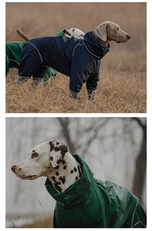 Impermeable para Perros - Abrigo Protector de Cuatro Patas - Image 8