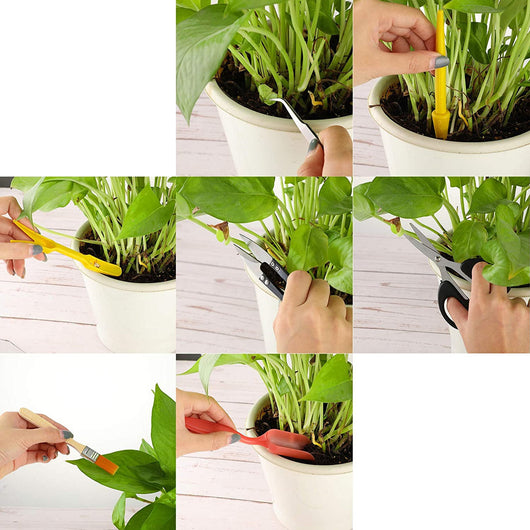 Kit Completo de Cuidado para Plantas: Pulverizador, Regadera y Herramientas de Jardinería - Image 2