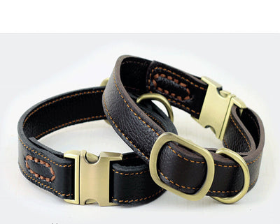 Collar de Cuero para Perros Pequeños y Medianos - Image 9