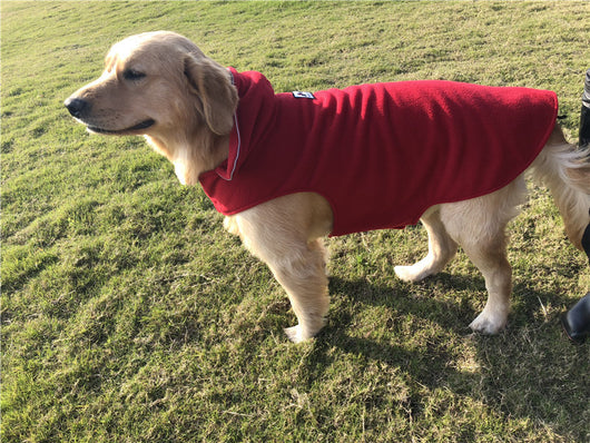 Chaleco Térmico Reversible para Perros - Ropa de Abrigo Otoño Invierno - Image 5