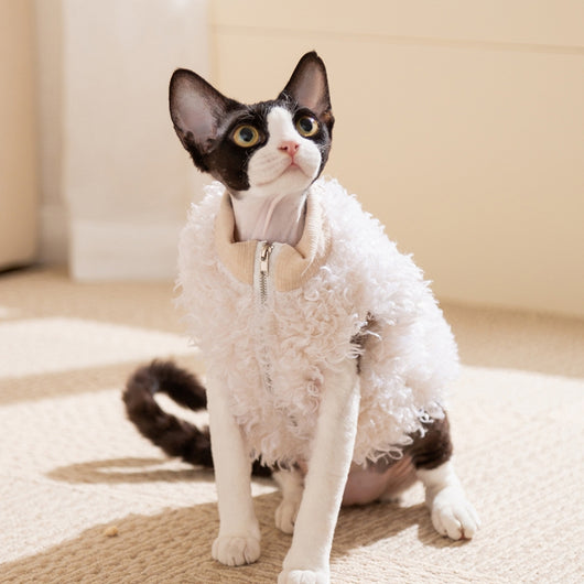 Abrigo Cálido para Mascotas Pequeñas con Diseño de Oveja Esponjosa y Panda - Image 8