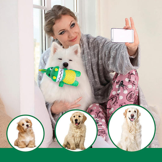 Juguete Masticable para Perros con Sonido - Dinosaurio Peluche Interactivo - Image 14