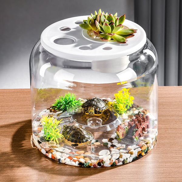 Acuario de Escritorio Ecológico con Alimentador Automático