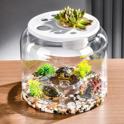 Acuario de Escritorio Ecológico con Alimentador Automático - Image 2