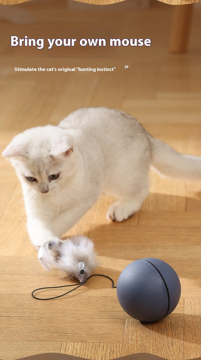 Juguete Interactivo Eléctrico para Gatos y Perros - Pelota Ratón Móvil - Image 8