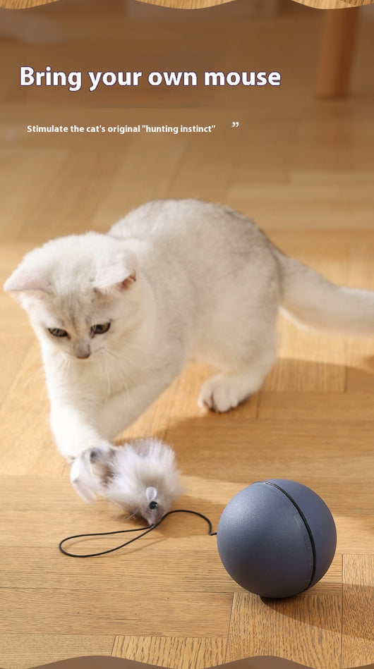Blue and orange automatic pet toy ball with an attached plush mouse teaser featuring blue and orange fur and a light blue feather tail. - Image 11