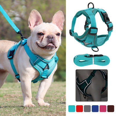 Arnés Chaleco Antiescapes para Perros Pequeños y Medianos - Image 21