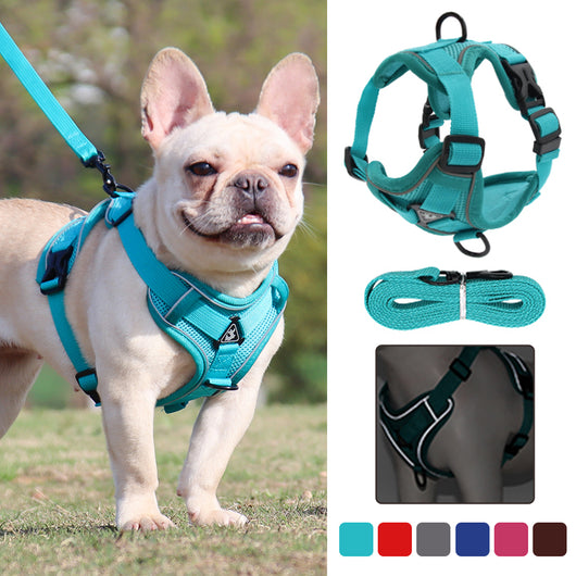 Arnés Chaleco Antiescapes para Perros Pequeños y Medianos - Image 21