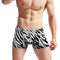 Calzoncillos Hombre Cintura Baja Estampado Cebra