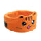 Naranja Tabby Gato USB