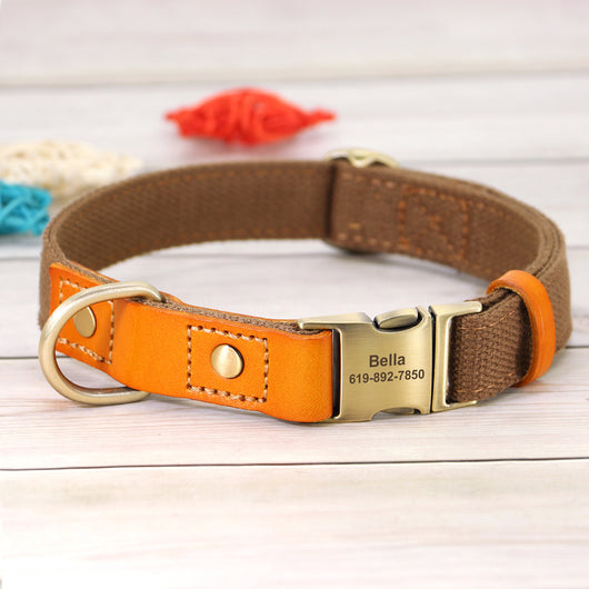Collar de Cuero para Perro con Placa Antiextravío - Image 7