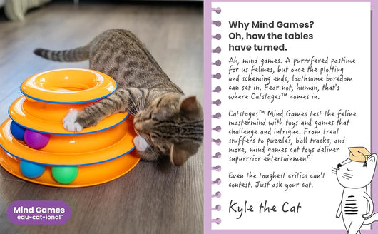 Torre de Juego Interactiva para Gatos con 3 Niveles y Bolas Giratorias - Image 9