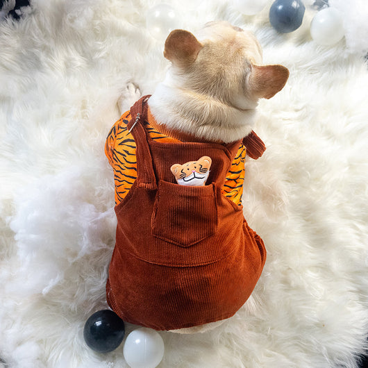 Conjunto de Ropa Térmica para Perros - Abrigo de Dos Piezas Otoño e Invierno - Image 9