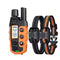 R1 For2 Dogs Orange