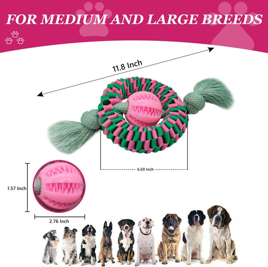 Juguete Masticable Interactivo para Perros - Nylon y Caucho Natural - Image 2