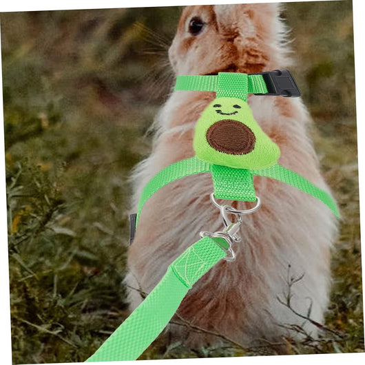 Arnés y Correa de Tracción para Mascotas Pequeñas - Seguridad y Control - Image 16
