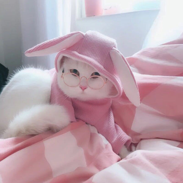 Espejo de Personalidad para Mascotas Pequeñas