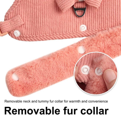 Arnés Cálido para Perro Pequeño con Correa y Moño - Acolchado Suave con Cuello de Pelaje Removible - Image 8