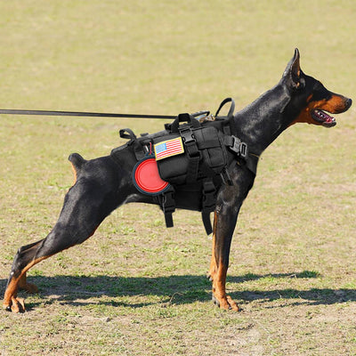 Chaleco Táctico para Perros - Traje Exterior Resistente - Image 16