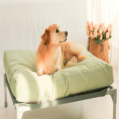 Cama Térmica para Perro con Cojín Acolchado Extraíble y Lavable - Image 18
