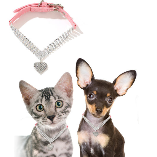 Collar y Correa de Moda para Perros y Gatos - Image 16