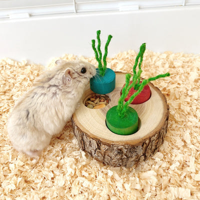 Wooden pet foraging snack box with three colorful pegs (blue, red, green) and green string 'stems' for rabbits and guinea pigs. - Image 8
