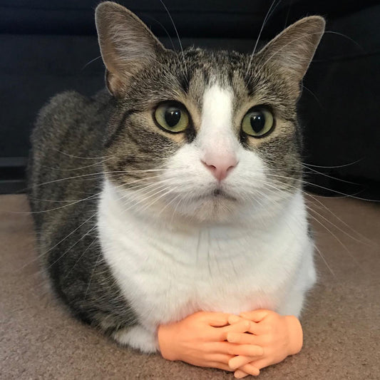 Flesh-toned silicone miniature hand making a peace sign gesture, designed as a funny cat finger stall toy.