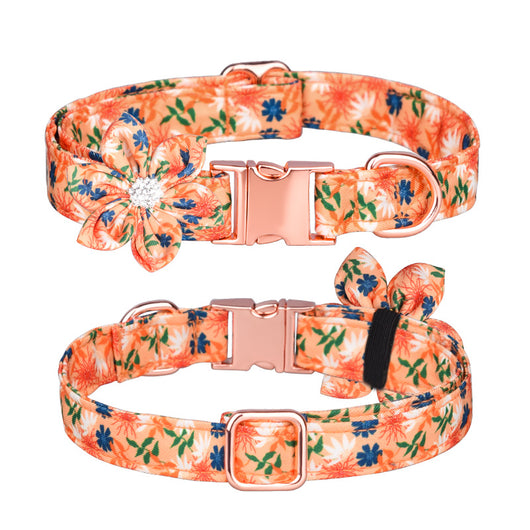 Juego de Collar y Correa Personalizado para Mascotas - Image 65