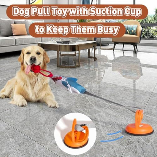 Juguete Interactivo para Perros Forma de Tiburón con Ventosa y Sonido Chirriante - Image 7