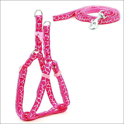 Arnés de Paseo Ajustable para Gatos y Perros Pequeños - Image 4