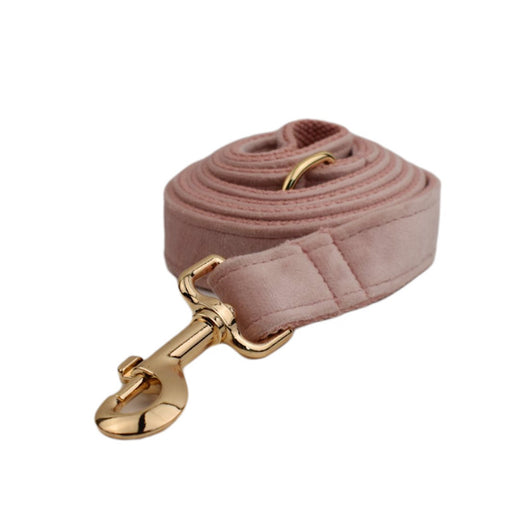 Collar de Terciopelo para Perros - Comodidad y Estilo - Image 9