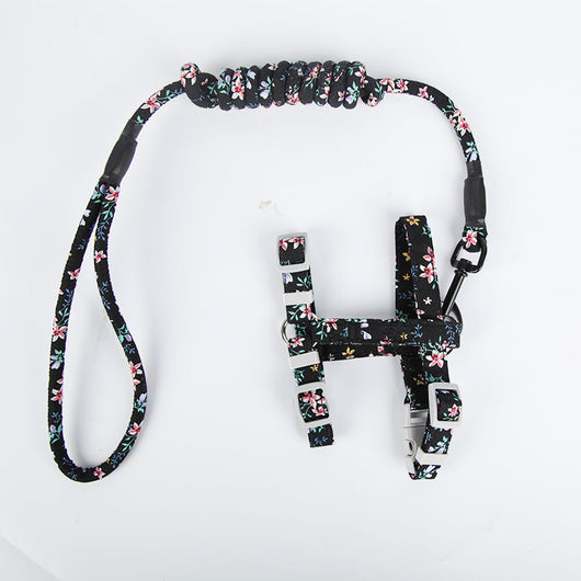 Arnés de Paseo para Gatos con Correa Pectoral - Image 3