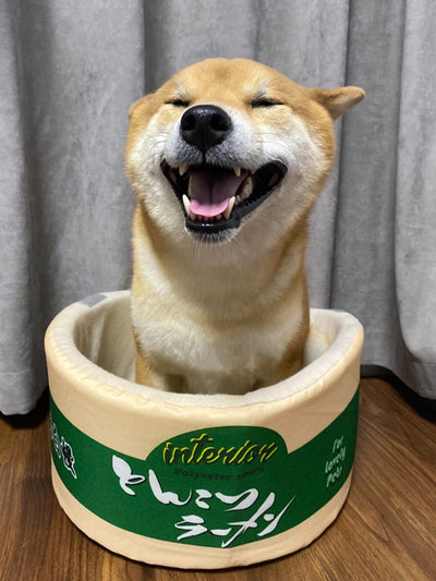 Arenero Cerrado para Gatos Diseño Fideos Instantáneos Shiba Inu Lindo - Image 16